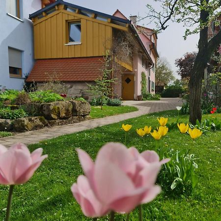 Ferienwohnung Wiesenhof Neuhof an der Zenn Buitenkant foto